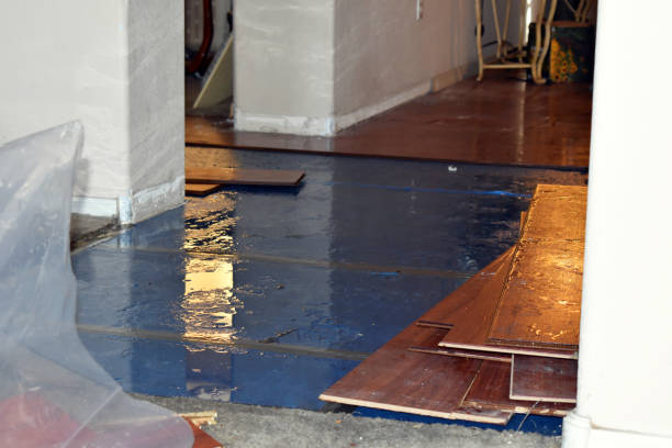 Professional Basement Flood Cleanup technician working in Springboro, PA